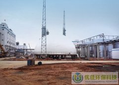 300立方獨(dú)立氣柜 造紙廠項(xiàng)目